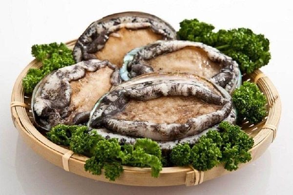 The Abalone