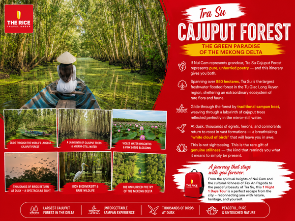 Tra Su Cajuput Forest