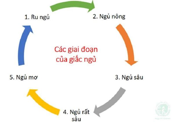 các cách ngủ ít mà không mệt