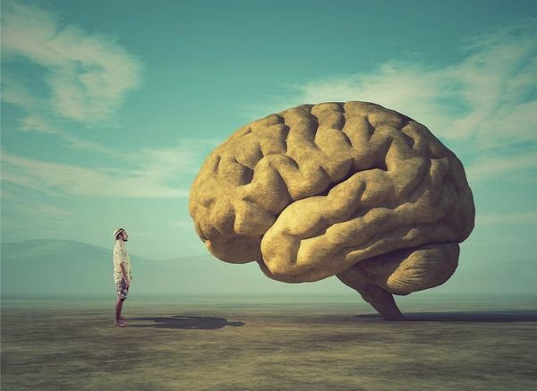 những cách rèn luyện não bộ thông minh hơn