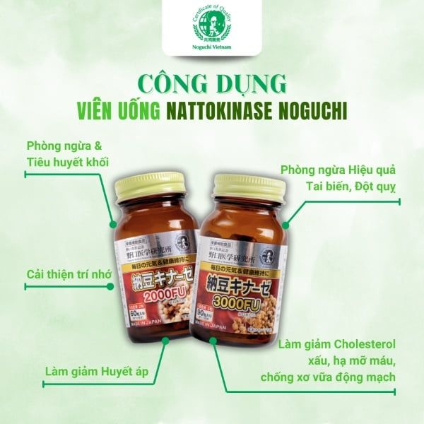 cách uống natto 2000fu hiệu quả