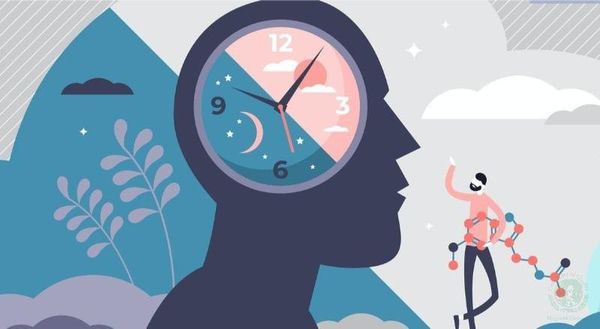 cơ chế hoạt động của đồng hồ sinh học