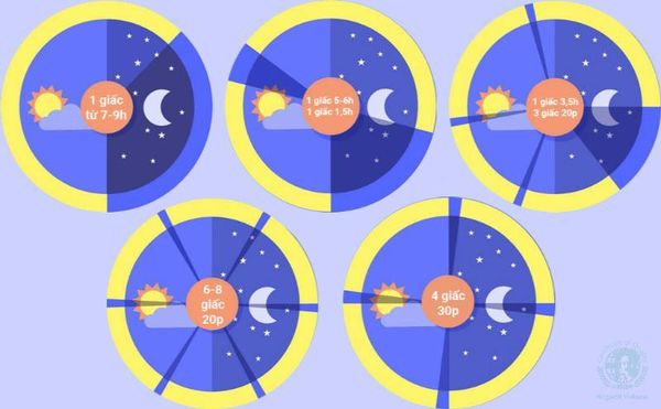 Hình ảnh sản phẩm