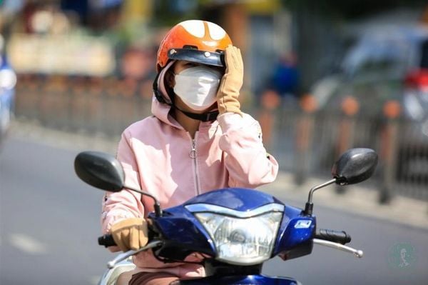 Hình ảnh sản phẩm