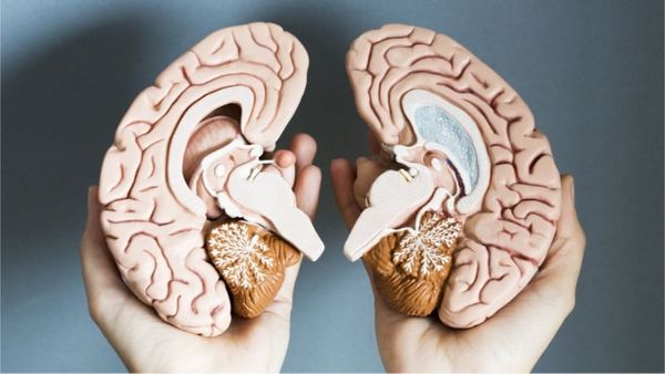 nguyên nhân nào gây suy giảm chức năng não