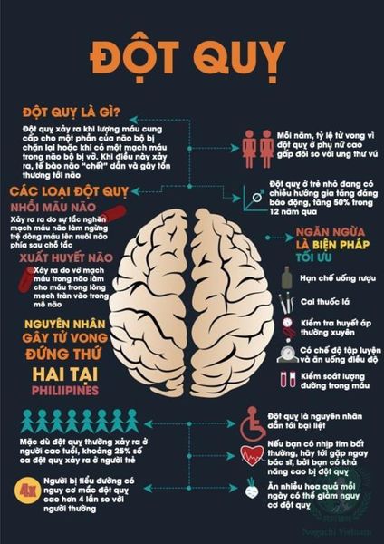 nguyên nhân đột quỵ là gì