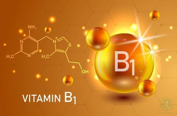 các loại nước ép tốt cho não bạn nên biết