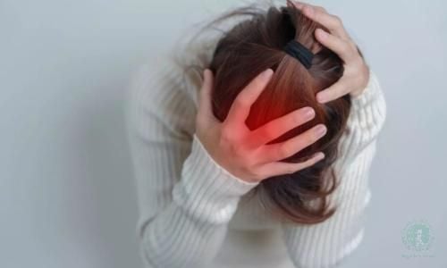 Hình ảnh sản phẩm