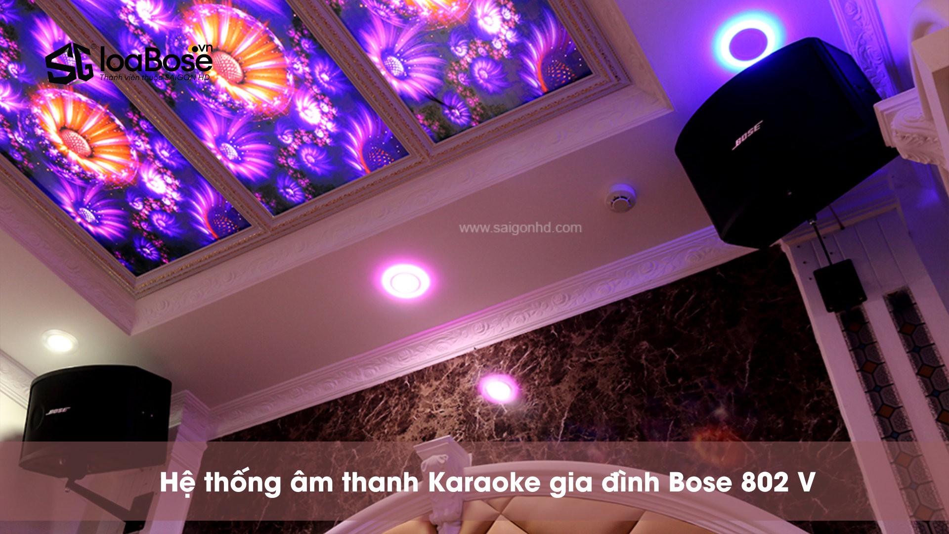 Dàn âm thanh Karaoke kinh doanh, biệt thự cao cấp Bose 802 V chính hãng