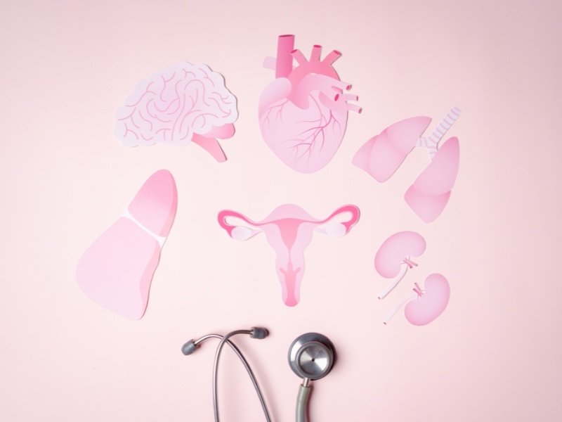 Buồng trứng đa nang nhẹ là gì? Tiêu chuẩn chẩn đoán và khả năng thụ thai