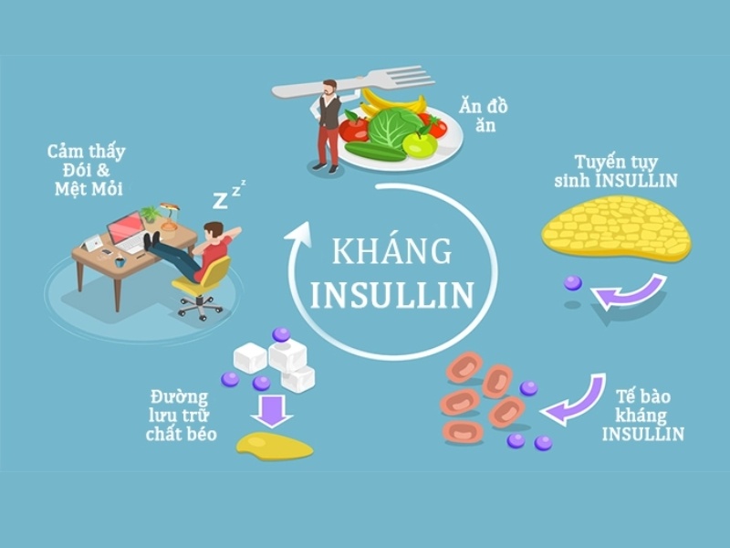 Bài tập giảm kháng insulin: Hướng dẫn tập luyện cho người tiền tiểu đường