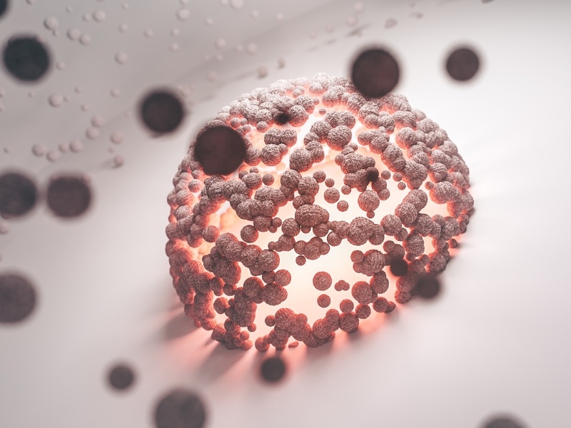 DNA methylation là gì? Cách cơ thể “bật tắt gen” và ảnh hưởng đến tuổi già