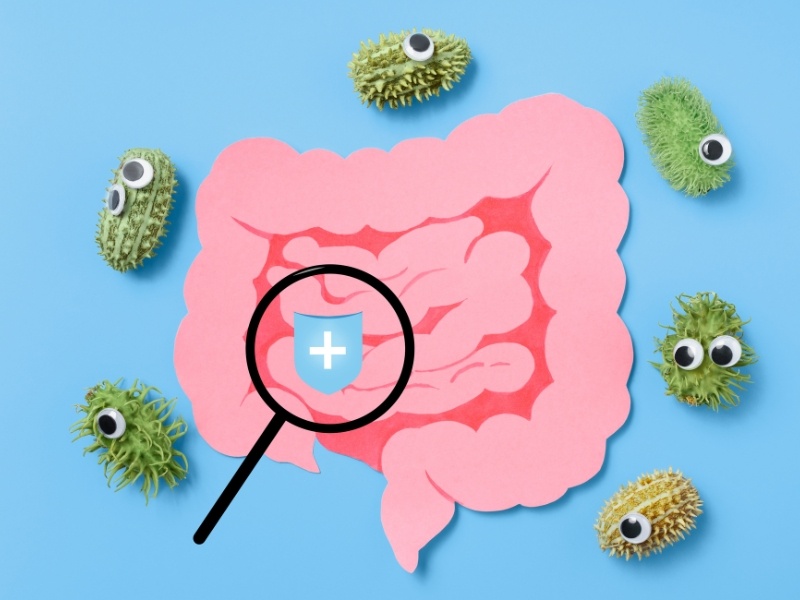 Hệ vi sinh và viêm mạn tính: Mối liên hệ quan trọng ảnh hưởng sức khỏe và tuổi thọ