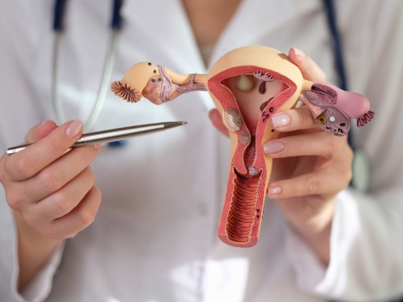 Niêm mạc tử cung mỏng nên ăn gì để cải thiện?