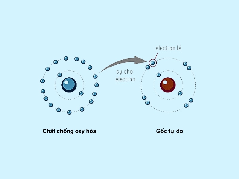 Stress oxy hóa là gì? Nguyên nhân, tác hại và cách giảm tự nhiên