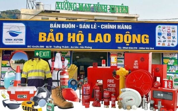 Công ty thiết bị bảo hộ lao động tại Hải Phòng: chính hãng, giá rẻ