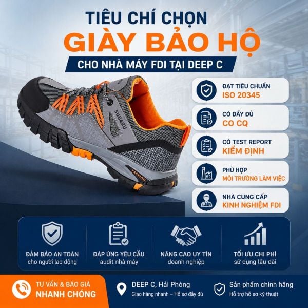 Tiêu chí chọn giày bảo hộ FDI tại DEEP C Hải Phòng