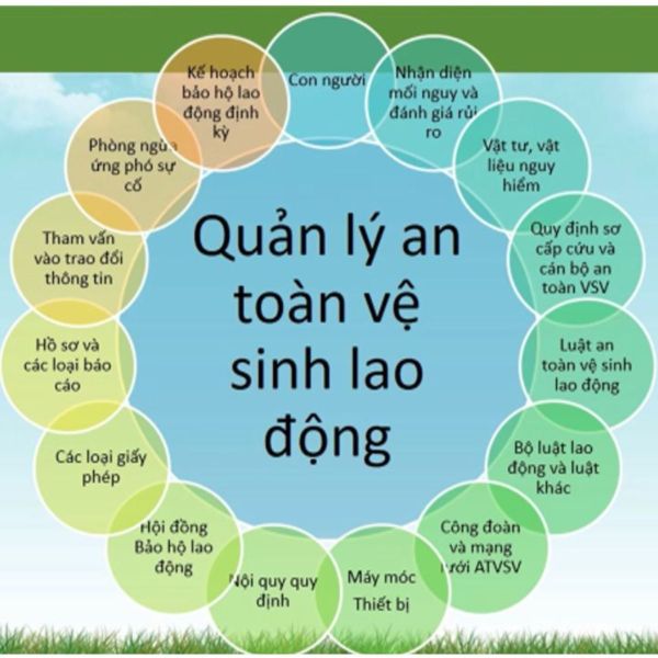 Quy trình quản lý an toàn vệ sinh lao động