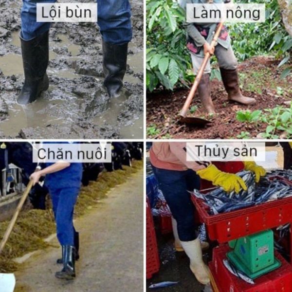 Môi trường sử dụng ủng cao su Quảng Ninh