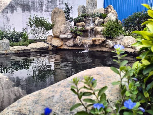 mauhocakoisanvuondep