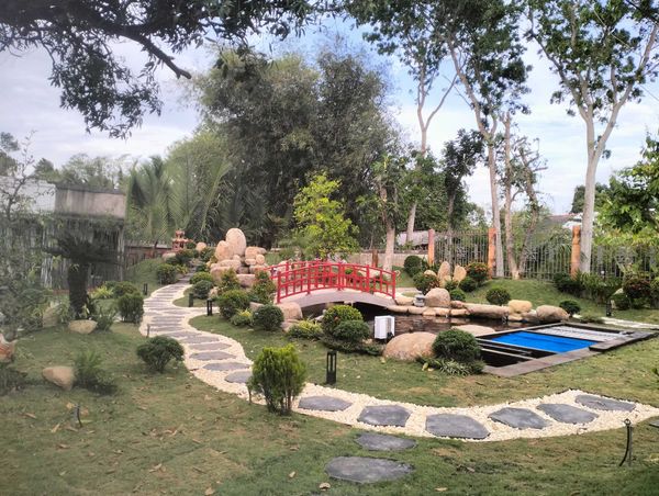 mauhocakoisanvuondep