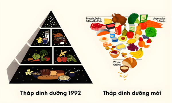 Tháp dinh dưỡng 2026