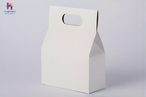 In túi giấy Homeprint