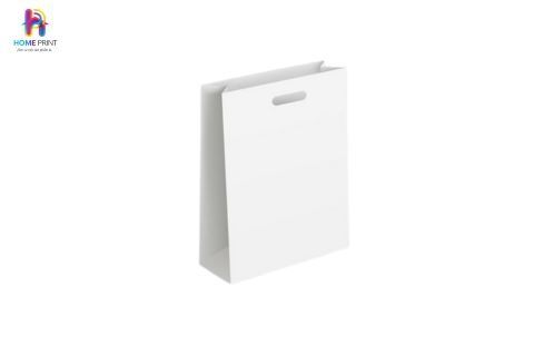 Mẫu túi giấy basic Homeprint