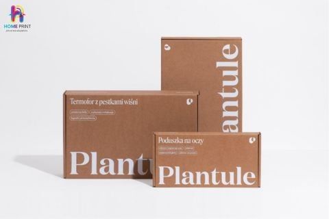 Xưởng in ấn hộp giấy