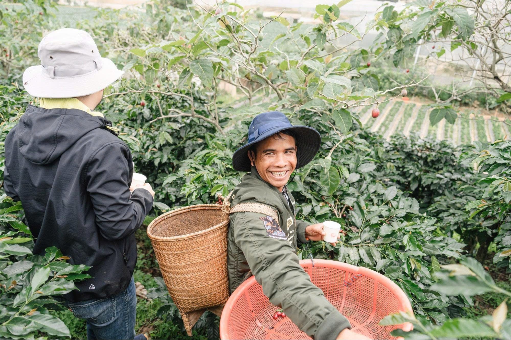 Giống, quy trình canh tác & chế biến