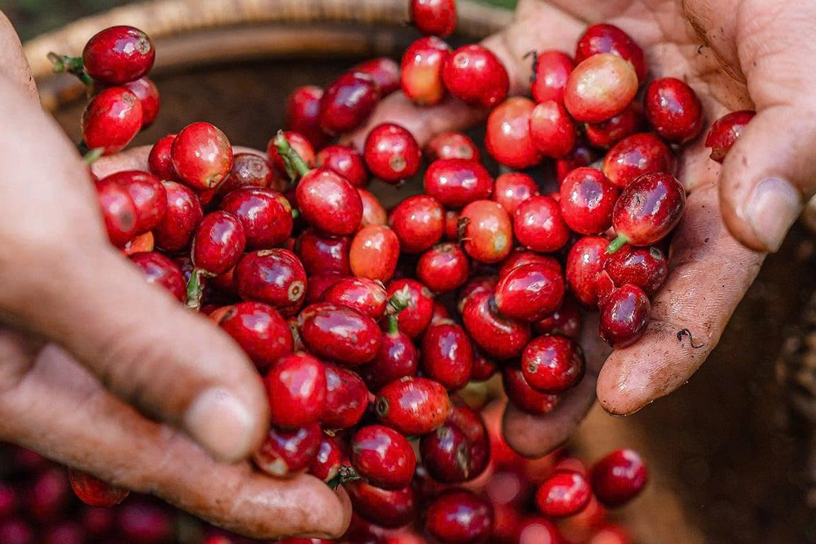 Vị trí địa lý & điều kiện tự nhiên vùng Lạc Dương