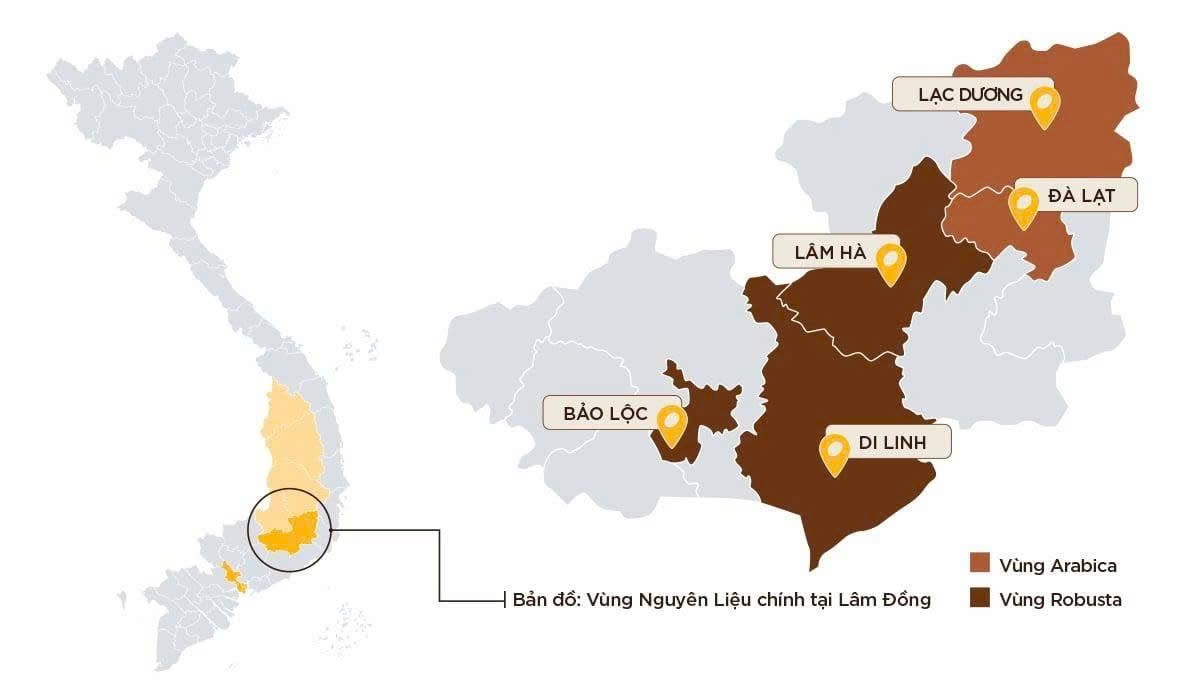 Nguồn cung cấp cà phê Arabica từ Lạc Dương