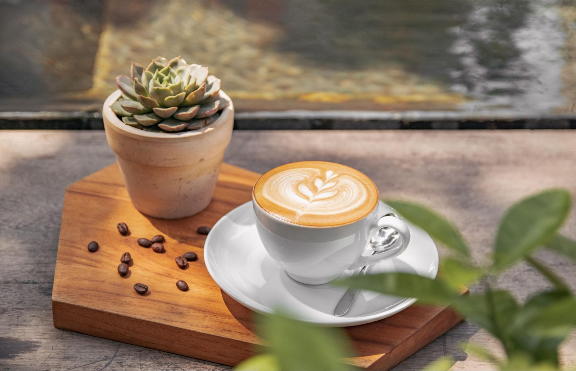 Cappuccino – Sự cân bằng hoàn hảo giữa espresso, sữa và foam
