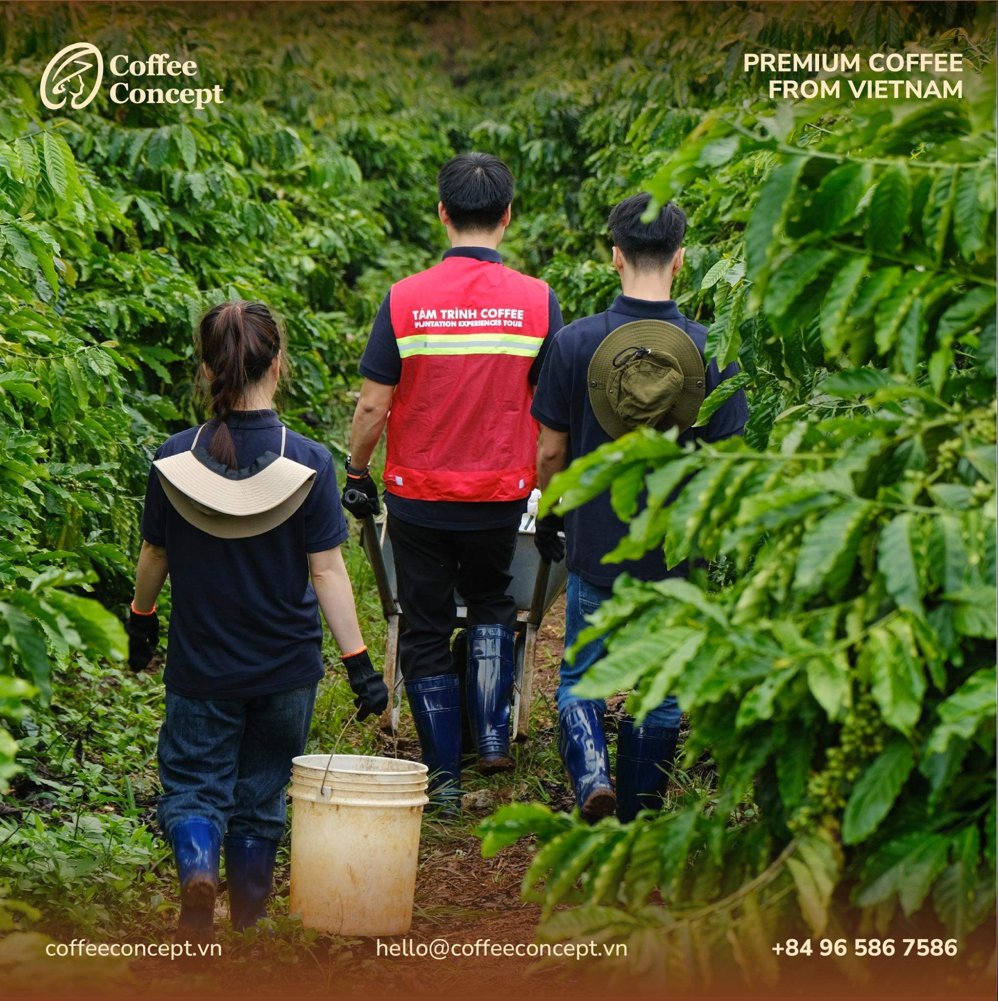 Lan tỏa hình ảnh quán cà phê bền vững – Gắn thương hiệu với giá trị xanh