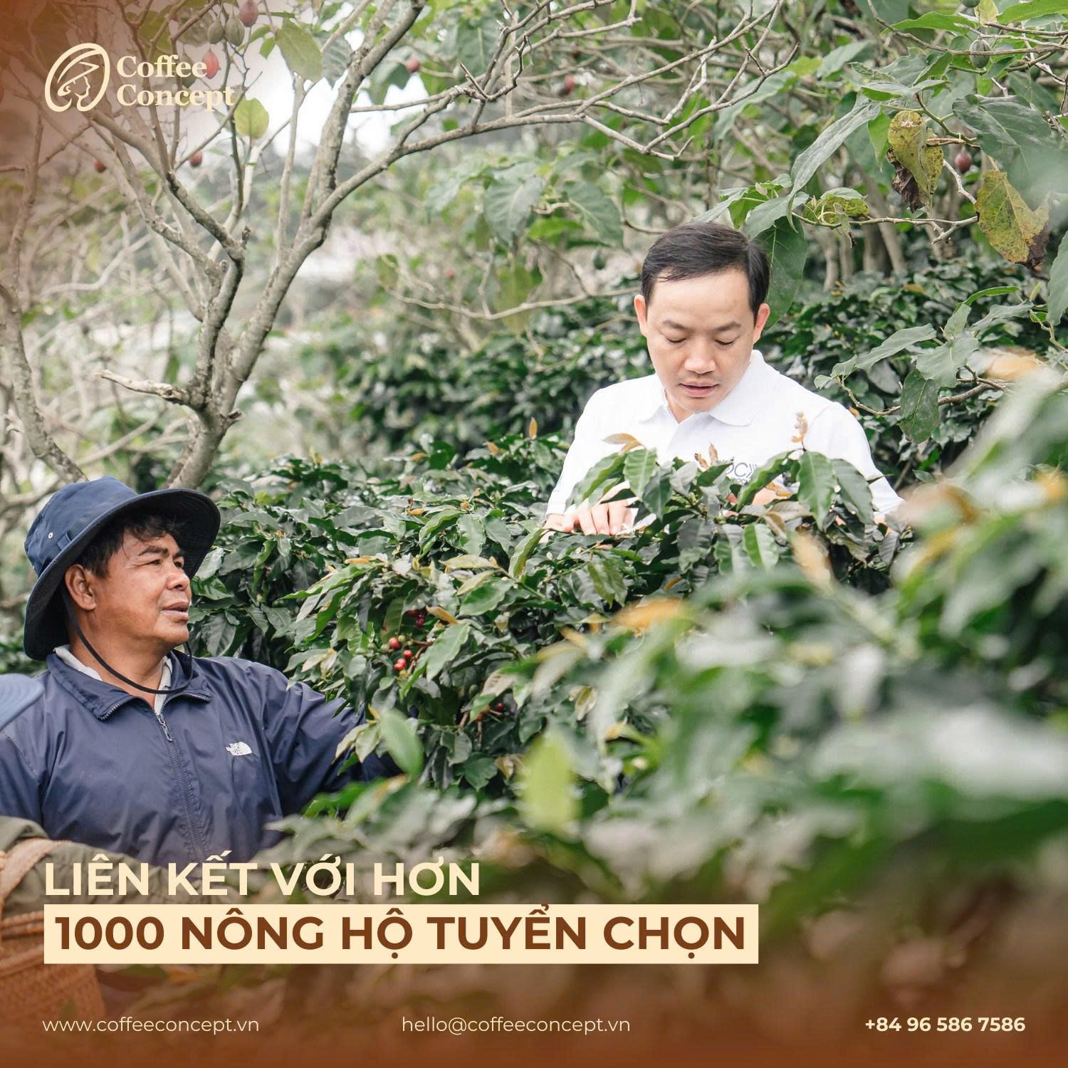 Lợi ích trong truyền thông – Kể câu chuyện thật từ “farm to cup”