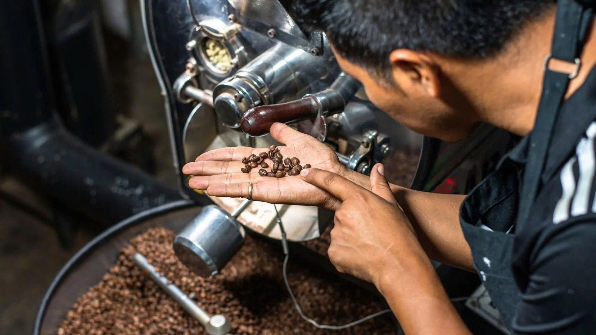 Fine Robusta – Bước tiến mới cho cà phê Robusta Việt Nam