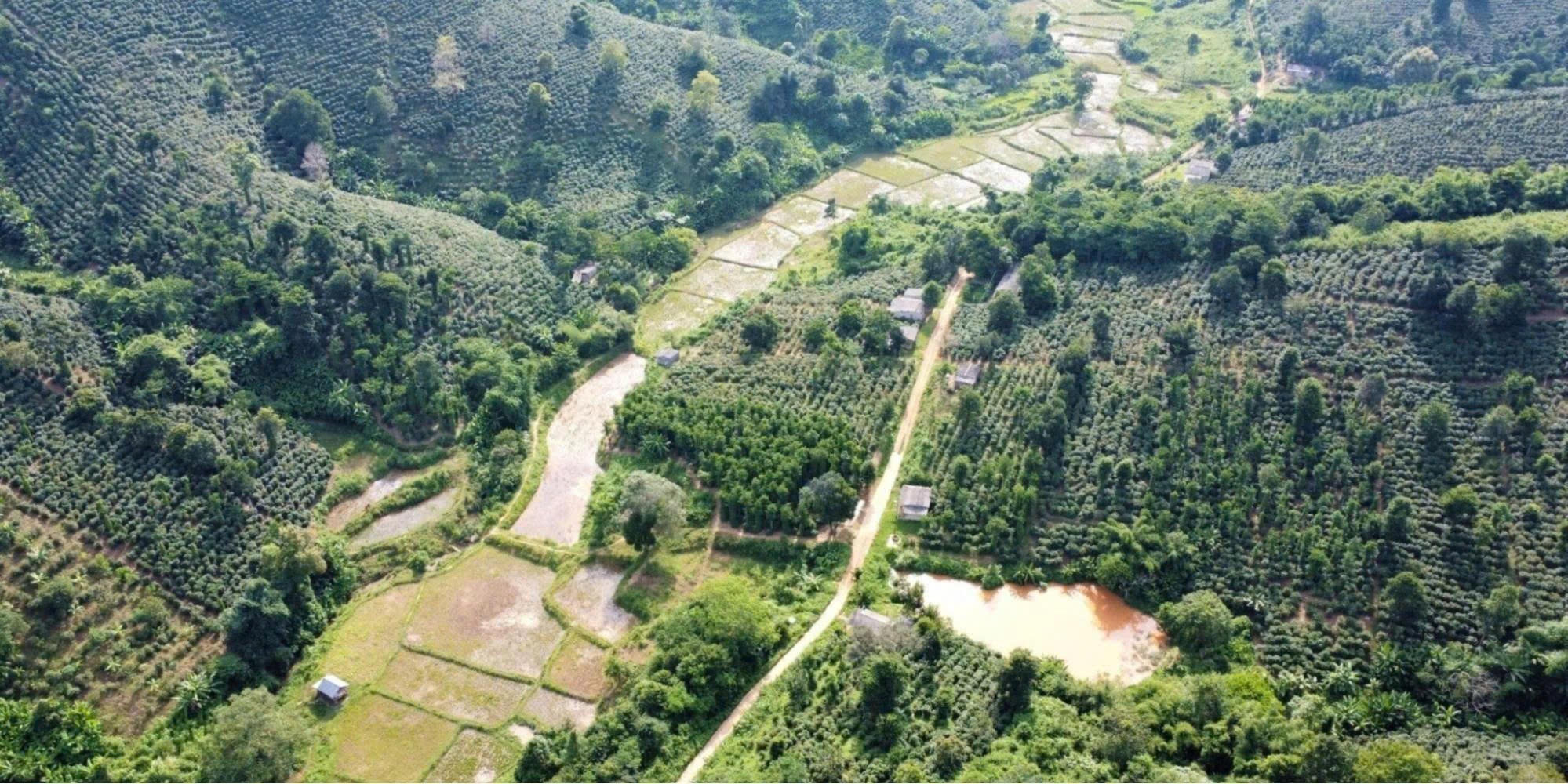 Độ cao canh tác và tác động đến hương vị