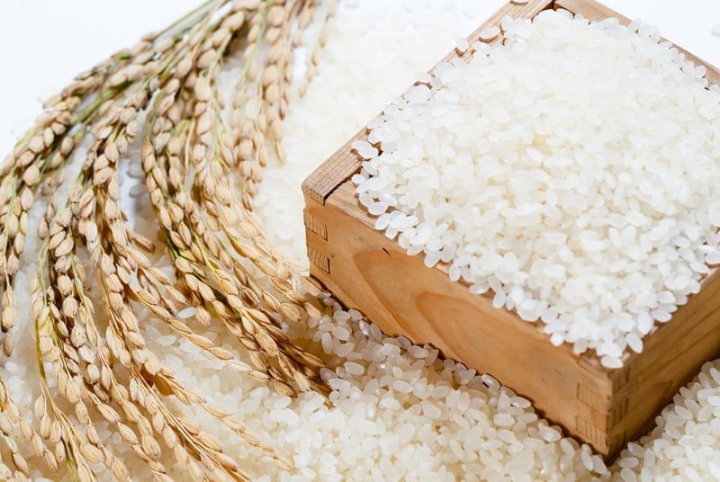 Cách Nấu Cơm Trắng Bằng Nồi Nấu Chậm Bear