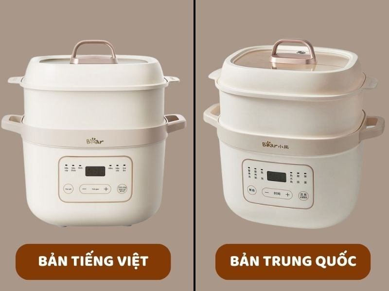 So Sánh Bản Quốc Tế Và Nội Địa Của Bear