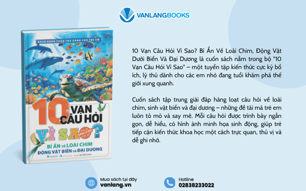 muoi-van-cau-hoi-vi-sao-bi-an-ve-loai-chim-dong-vat-bien-va-dai-duong