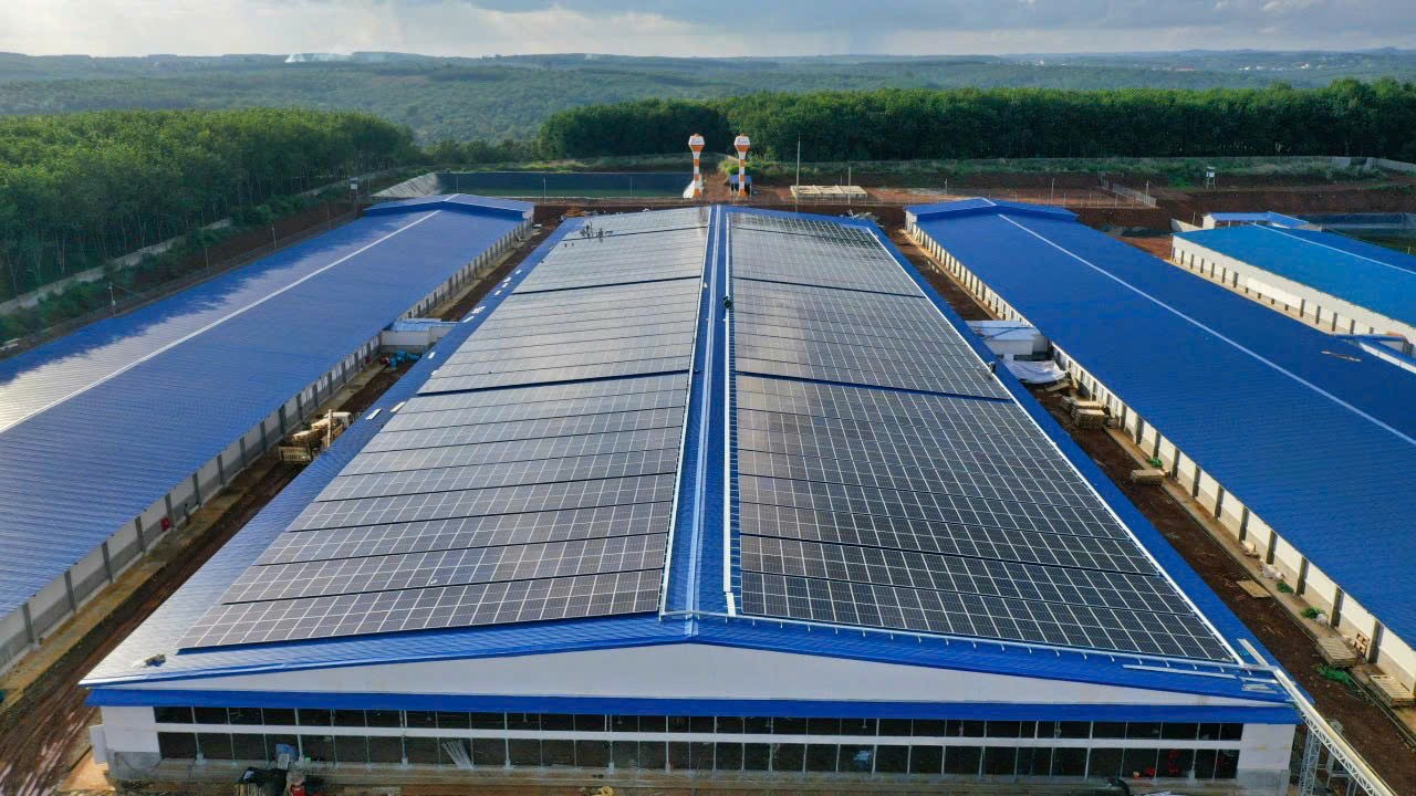 Dự án điện mặt trời trang trại chăn nuôi Bình Phước