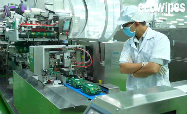 Nơi bán khăn ướt giá sỉ tốt nhất tận kho - Ecowipes