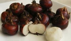 Nhóm chất trong củ năng