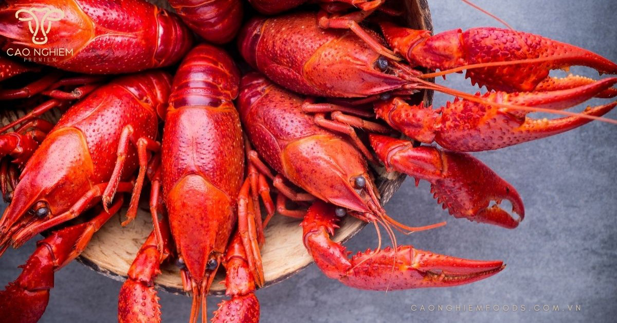 5 Cách chế biến tôm đỏ Địa Trung Hải ngon chuẩn nhà hàng – Cao Nghiêm Foods