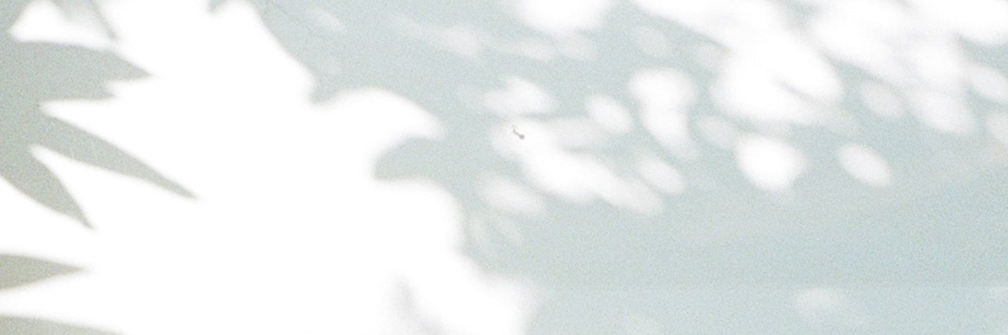 article_banner