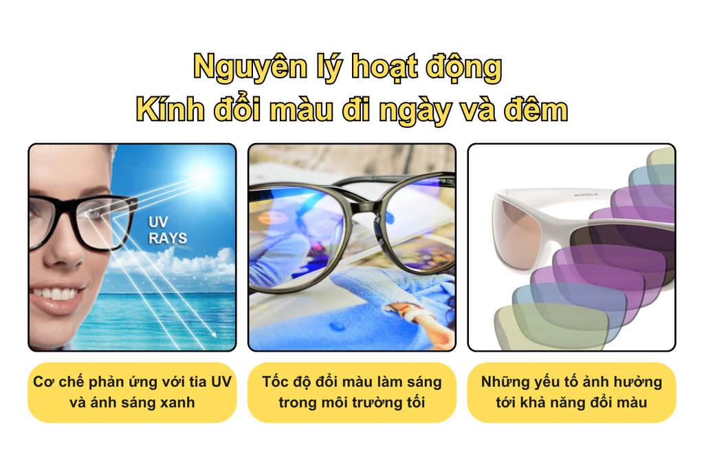 nguyen-ly-hoat-dong-cua-kinh-doi-mau-di-ngay-va-dem