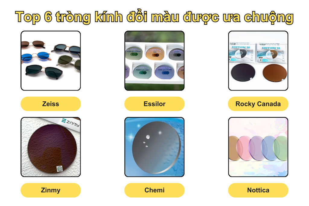 top-6-trong-kinh-doi-mau-duoc-ua-chuong-hien-nay
