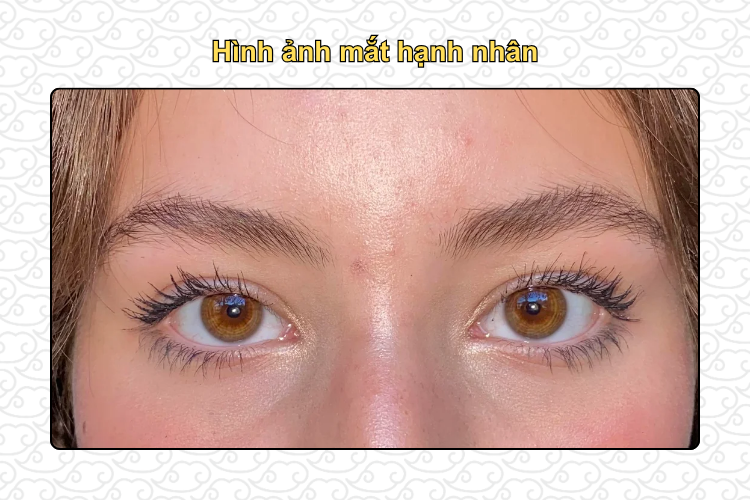 Hình ảnh mắt hạnh nhân 1