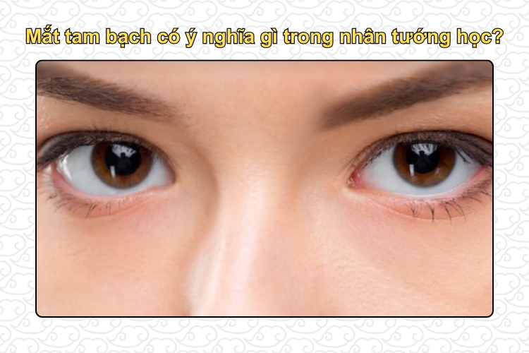 Mắt tam bạch có ý nghĩa gì trong nhân tướng học