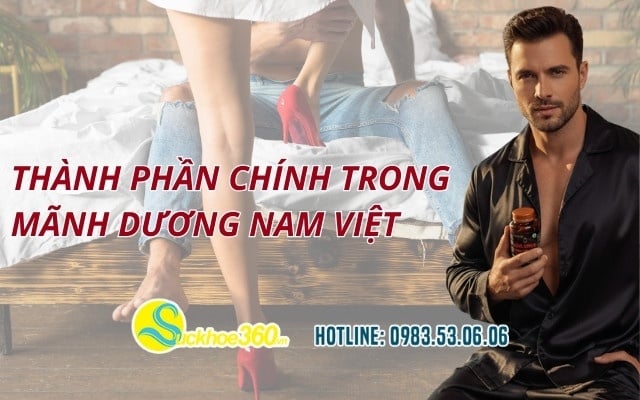 Thành phần chính trong Mãnh Dương Nam Việt